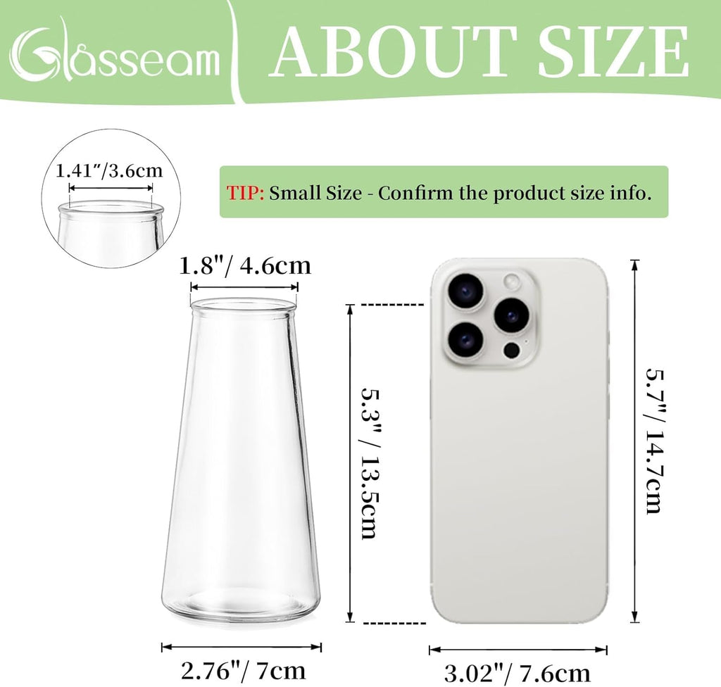 Glasseam Clear Flower Vases for Centerpieces: Modern Glass Vase Set of 12 for Wedding Party Centerpiece Home Table Decor 5.5In Small Bud Vases for Flowers Rose Tulip Stems